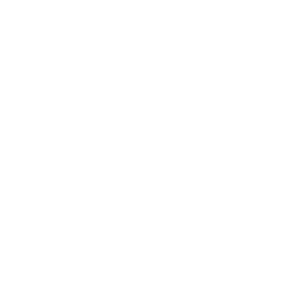 Logotipo del sitio de formulario instantáneo